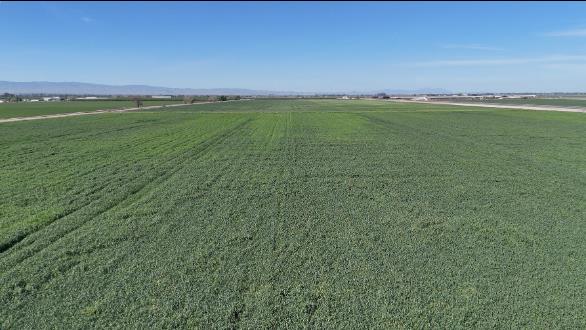 24916 Manteca Road Manteca, CA 95337 - Photo 16 of 16 a view of a green field with an ocean view