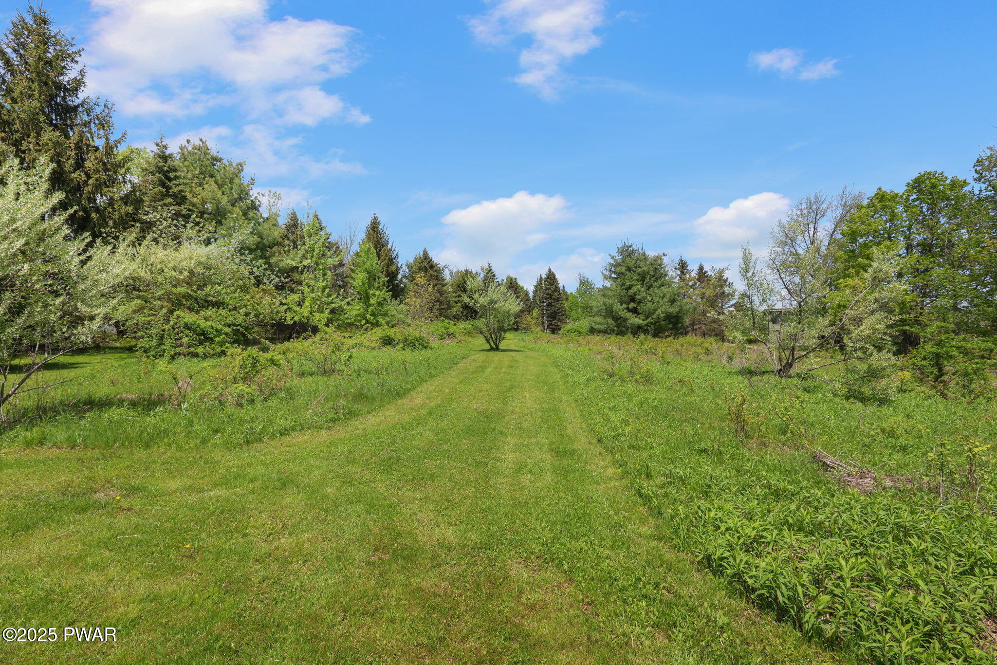 80 Bush Road Pleasant Mount, PA 18453 - Photo 9 of 97