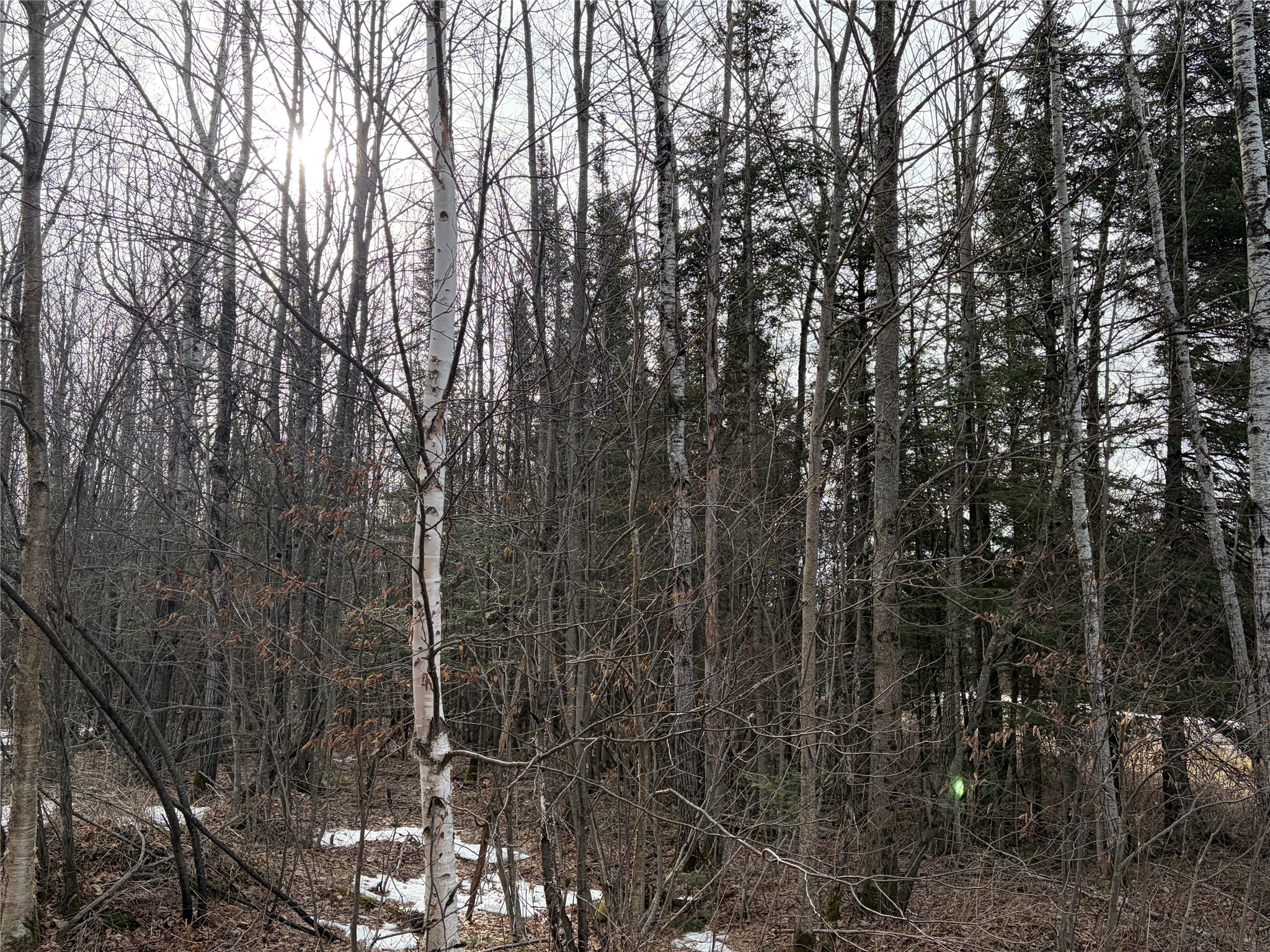On On Cth B Winter, WI 54896 - Photo 5 of 6