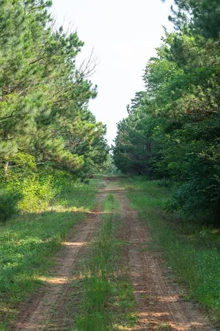 $7,500,000 | 473 County Road 3390, Hawkins, TX 75765