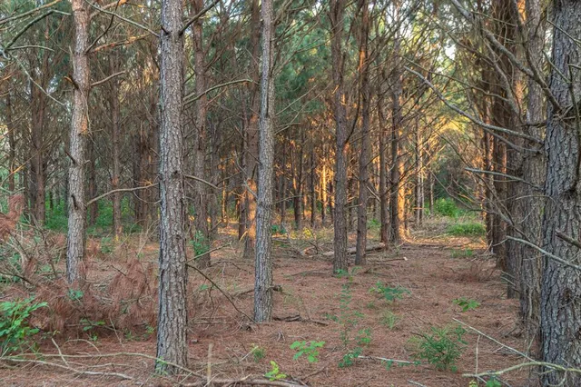 $7,500,000 | 473 County Road 3390, Hawkins, TX 75765