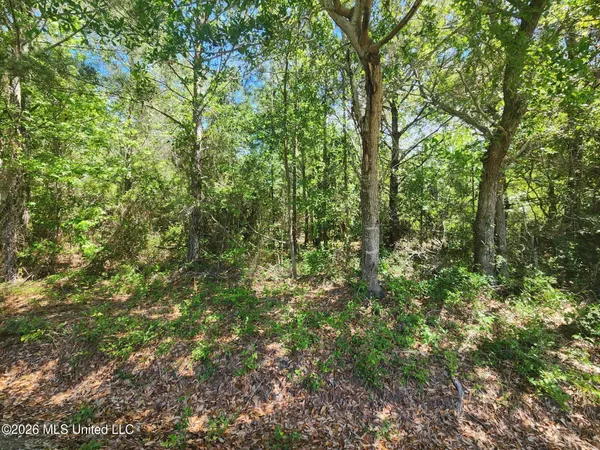 $70,000 | 0 Lady Mary Avenue, Pass Christian, MS 39571