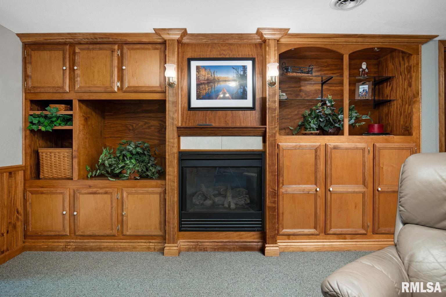 1104 Tottenham Court Washington, IL 61571 - Photo 31 of 46 Gallery Image 31
