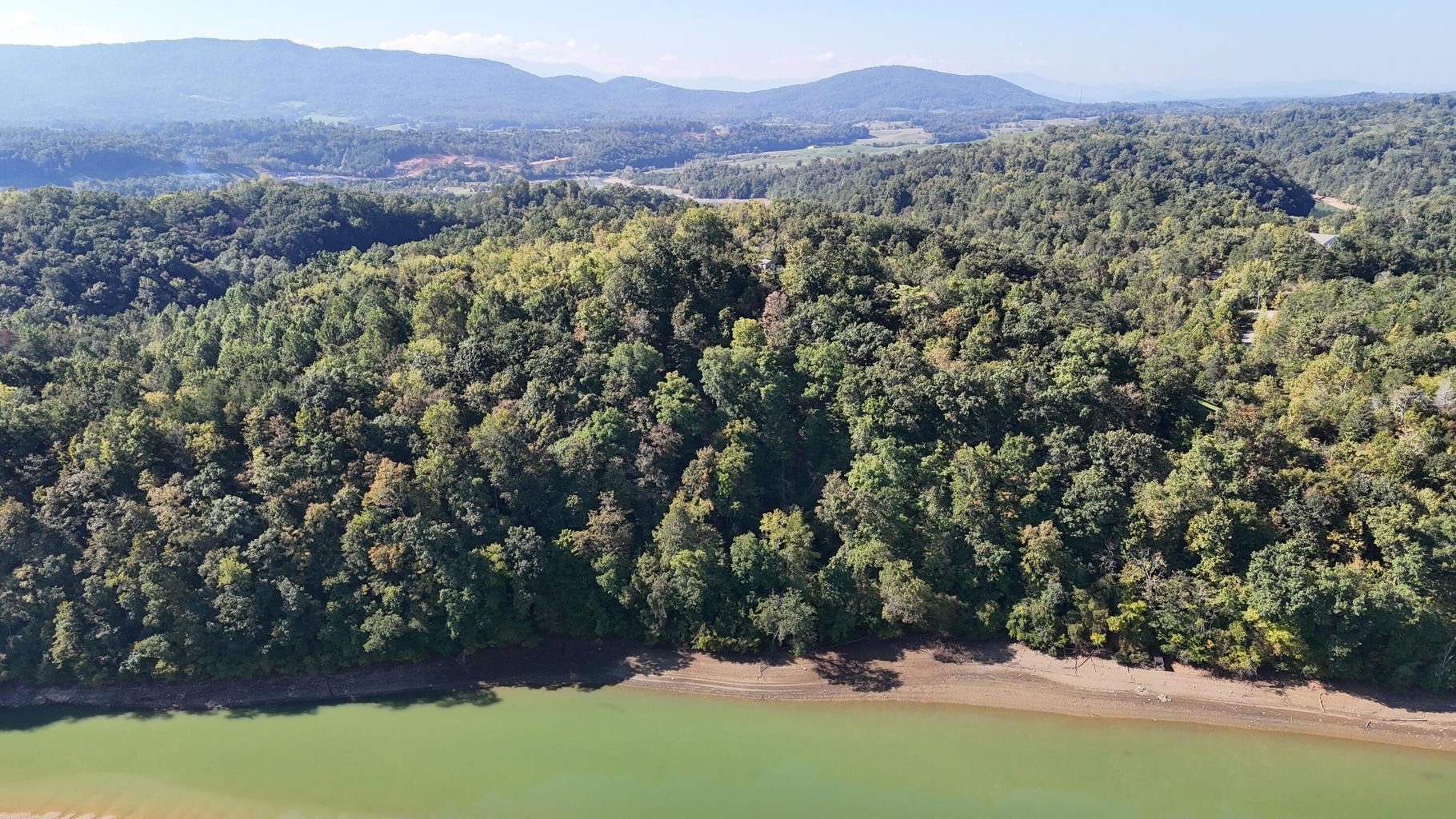 23 Caywood Road Dandridge, TN 37725 - Photo 18 of 18 a view of a yard with a tree