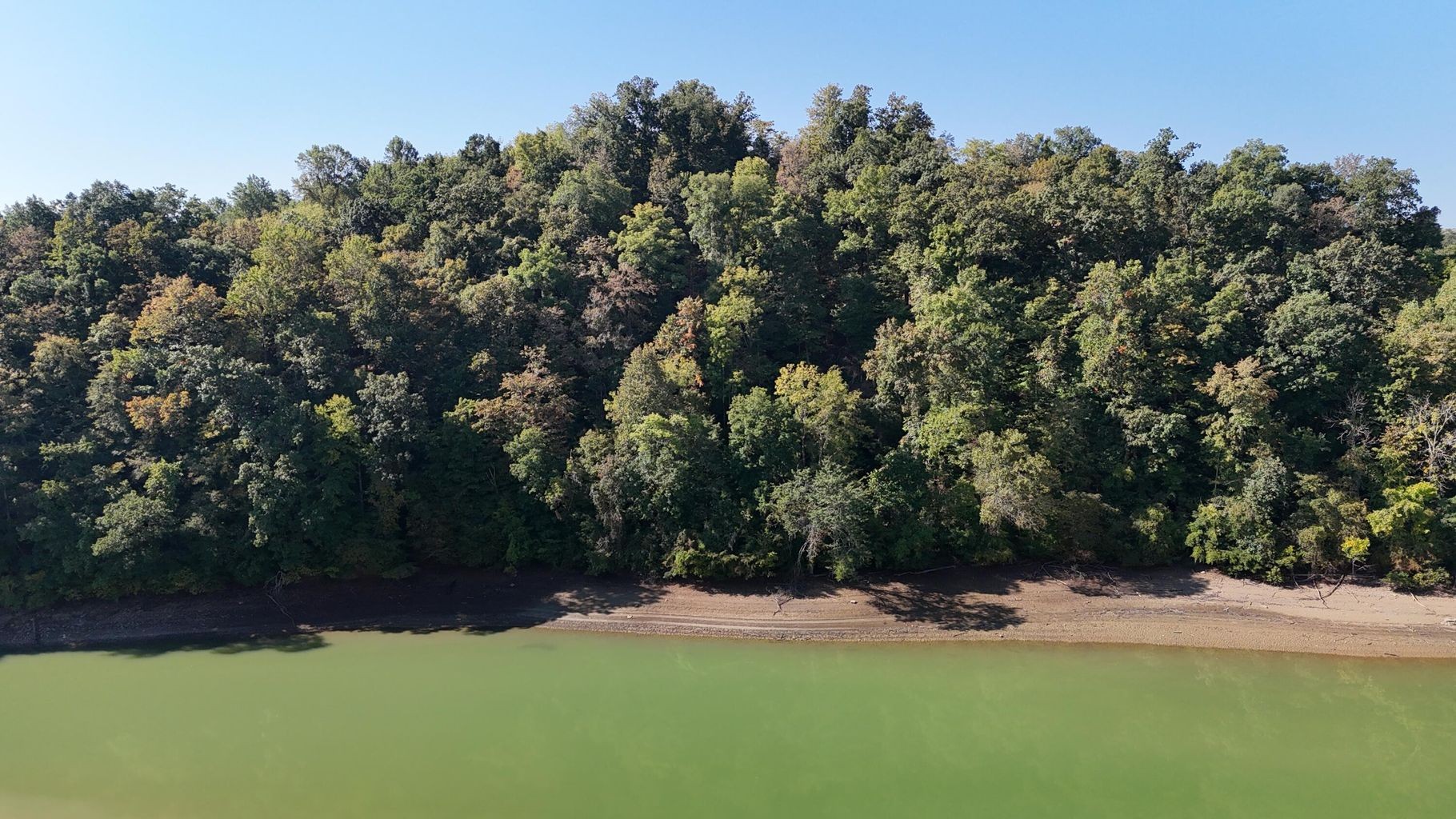 23 Caywood Road Dandridge, TN 37725 - Photo 2 of 18 a view of a yard