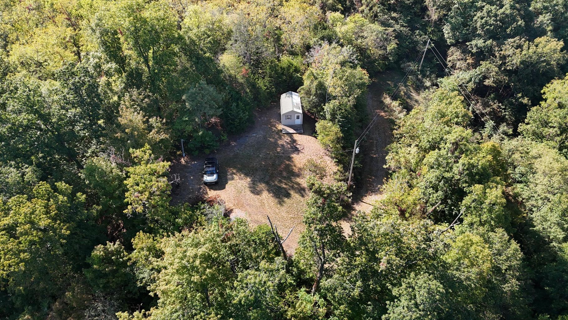 23 Caywood Road Dandridge, TN 37725 - Photo 5 of 18 a view of a tree in a yard
