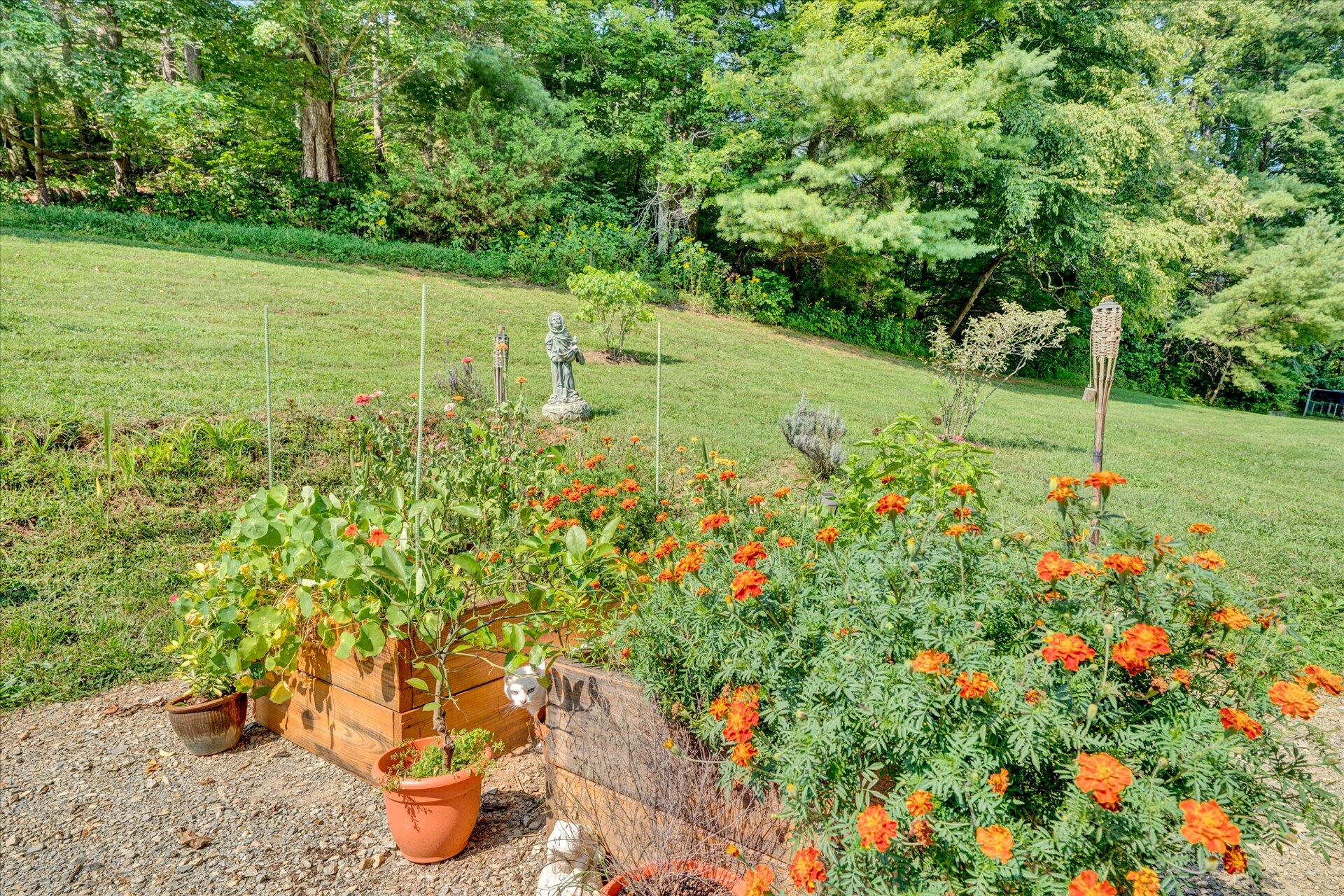 2235 Dillons Mill Road Callaway, VA 24067 - Photo 5 of 40 a view of a backyard with fountain