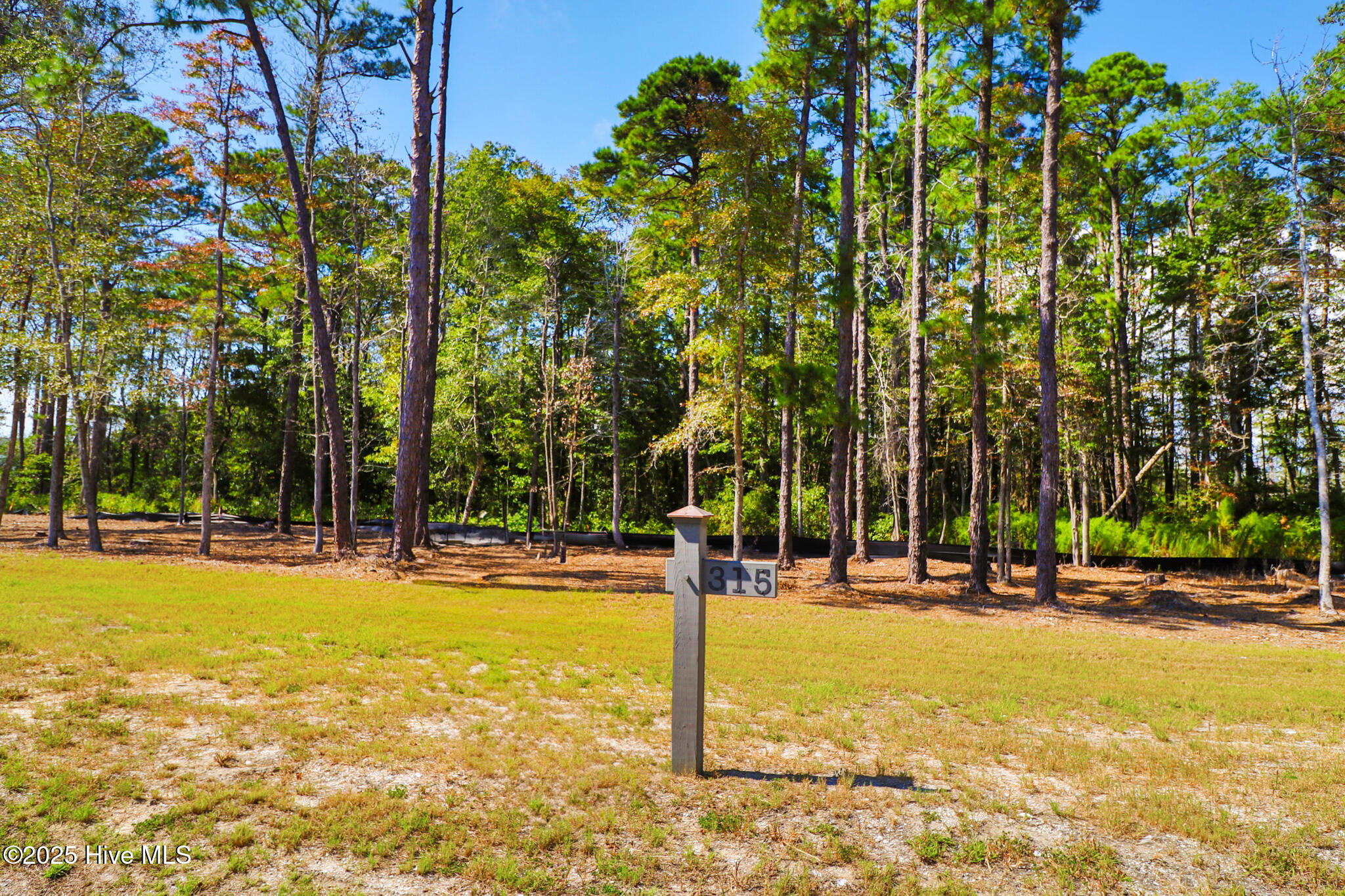 501 Freedom Park Road Beaufort, NC 28516 - Photo 4 of 20 501 Freedom Park Rd