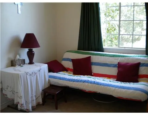 a view of backyard with tree