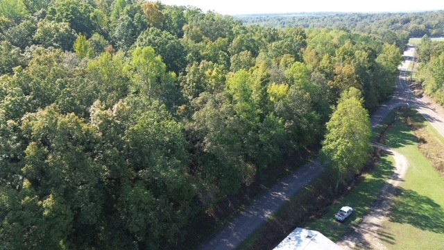 0 Chalk Hill Church Road Camden, TN 38320 - Photo 12 of 50 a view of a city with lush green forest