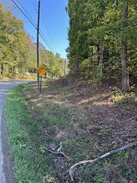 0 Chalk Hill Church Road Camden, TN 38320 - Photo 14 of 50 a view of a yard with a tree
