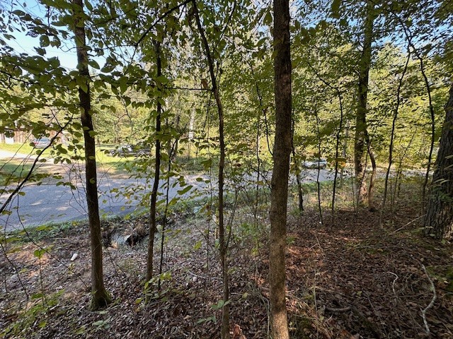 0 Chalk Hill Church Road Camden, TN 38320 - Photo 18 of 50 a view of forest