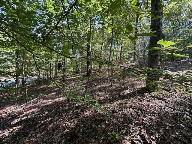 0 Chalk Hill Church Road Camden, TN 38320 - Photo 21 of 50 a picture of trees