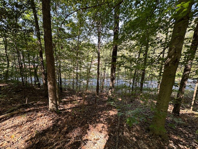 0 Chalk Hill Church Road Camden, TN 38320 - Photo 22 of 50 a view of forest