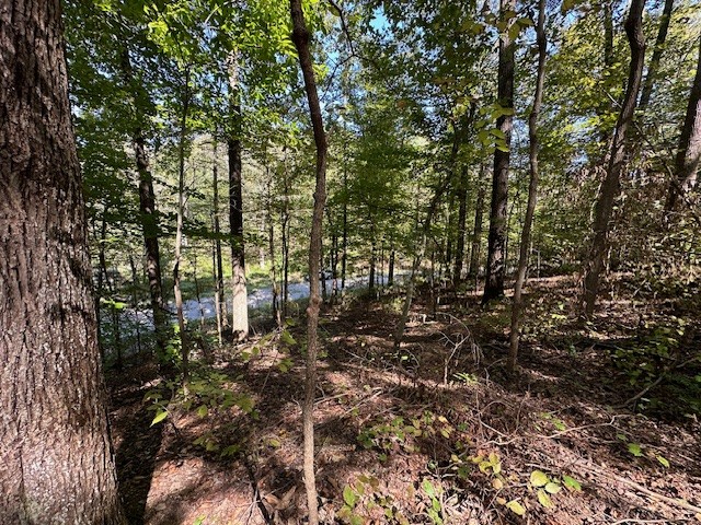 0 Chalk Hill Church Road Camden, TN 38320 - Photo 24 of 50 a view of outdoor space
