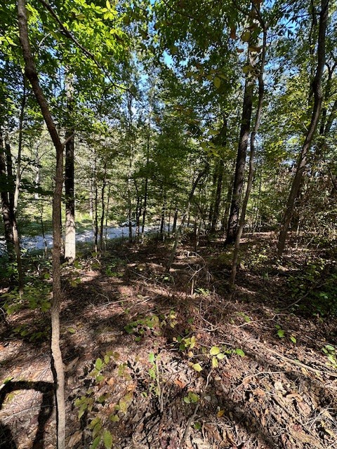 0 Chalk Hill Church Road Camden, TN 38320 - Photo 25 of 50 a view of tree
