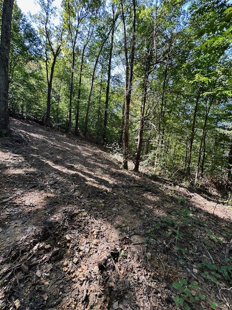 0 Chalk Hill Church Road Camden, TN 38320 - Photo 26 of 50 a view of outdoor space and trees
