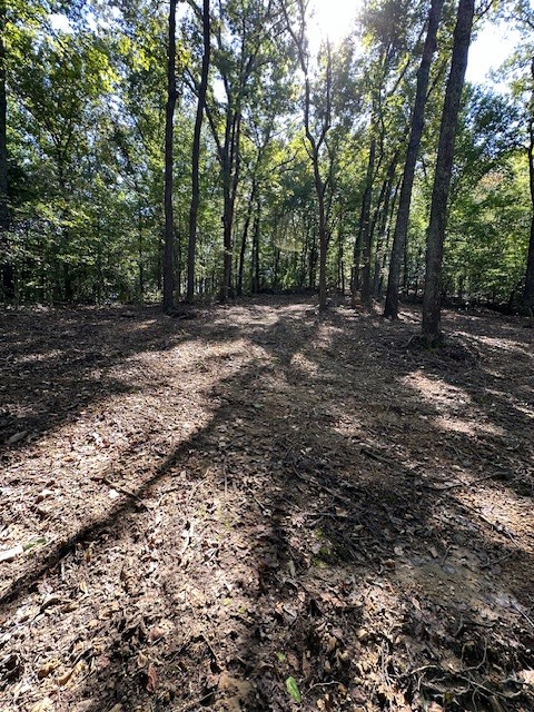 0 Chalk Hill Church Road Camden, TN 38320 - Photo 28 of 50 a view of outdoor space and yard