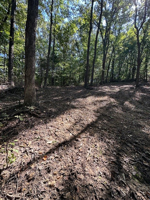 0 Chalk Hill Church Road Camden, TN 38320 - Photo 29 of 50 a view of backyard with trees