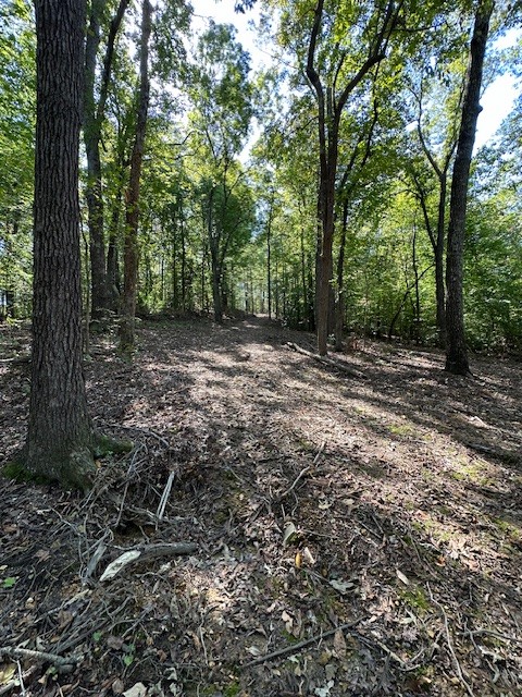 0 Chalk Hill Church Road Camden, TN 38320 - Photo 30 of 50 a view of outdoor space and yard