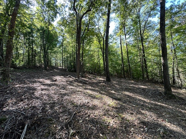 0 Chalk Hill Church Road Camden, TN 38320 - Photo 31 of 50 a view of a forest with trees in the background