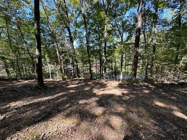 0 Chalk Hill Church Road Camden, TN 38320 - Photo 33 of 50 a view of a forest with trees