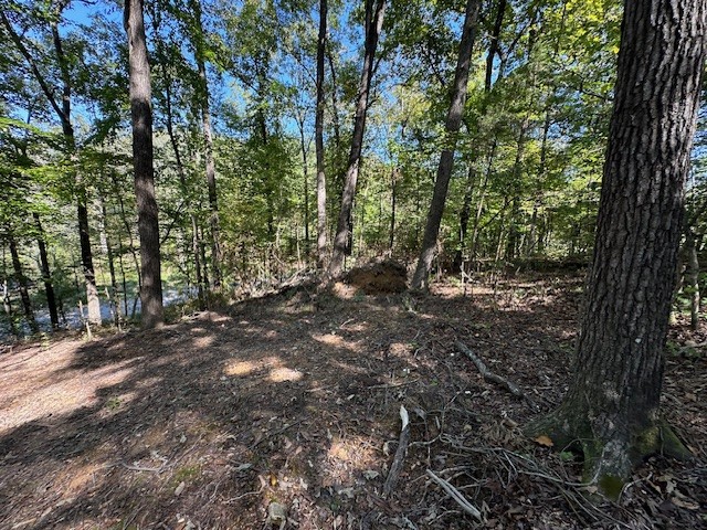 0 Chalk Hill Church Road Camden, TN 38320 - Photo 34 of 50 a view of outdoor space and trees