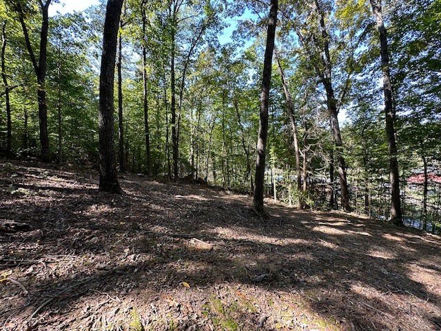 0 Chalk Hill Church Road Camden, TN 38320 - Photo 35 of 50 a view of outdoor space with trees
