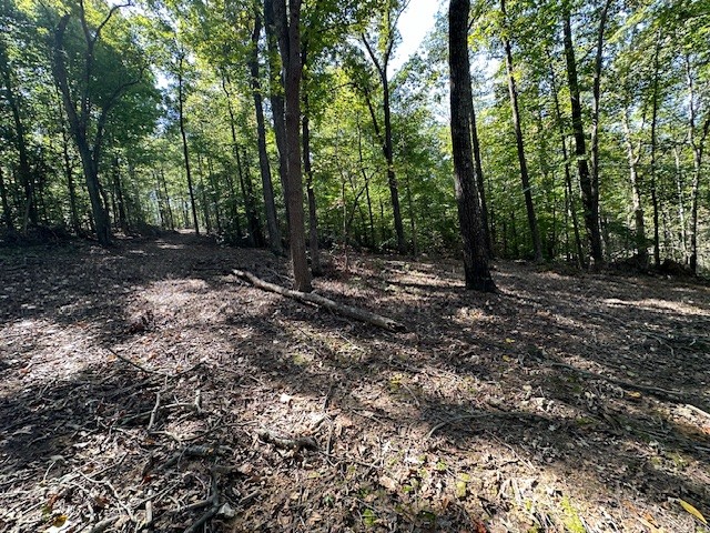 0 Chalk Hill Church Road Camden, TN 38320 - Photo 36 of 50 a view of a forest with trees in the background