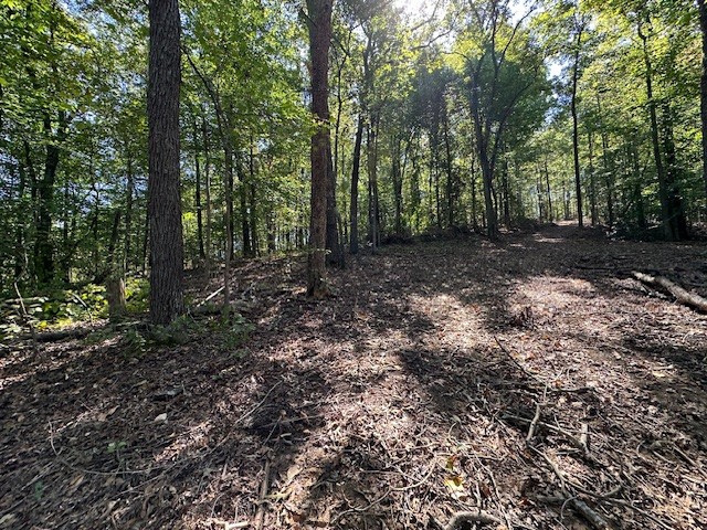 0 Chalk Hill Church Road Camden, TN 38320 - Photo 37 of 50 a view of a forest with trees in the background