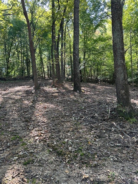 0 Chalk Hill Church Road Camden, TN 38320 - Photo 39 of 50 a view of a forest with trees in the background
