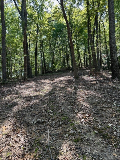0 Chalk Hill Church Road Camden, TN 38320 - Photo 40 of 50 a view of a forest with trees in the background
