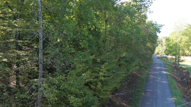 0 Chalk Hill Church Road Camden, TN 38320 - Photo 4 of 50 a view of a pathway both side of yard