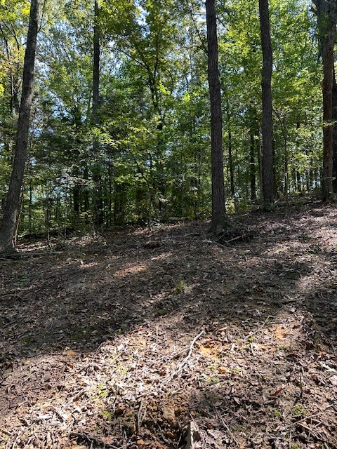 0 Chalk Hill Church Road Camden, TN 38320 - Photo 41 of 50 a big yard with lots of green space and fog