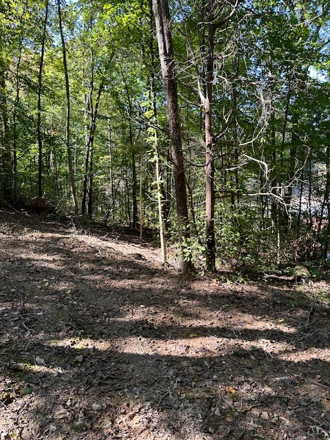 0 Chalk Hill Church Road Camden, TN 38320 - Photo 43 of 50 a backyard of a house with lots of green space