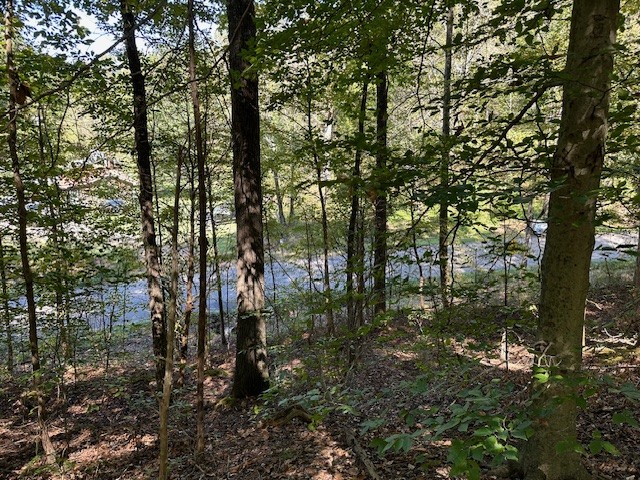 0 Chalk Hill Church Road Camden, TN 38320 - Photo 44 of 50 a view of forest