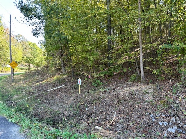 0 Chalk Hill Church Road Camden, TN 38320 - Photo 46 of 50 a view of a forest with trees in the background
