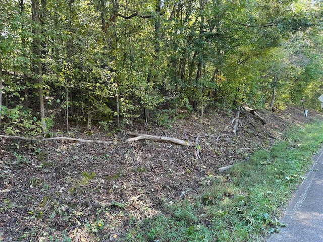 0 Chalk Hill Church Road Camden, TN 38320 - Photo 47 of 50 a view of a forest that has a tree