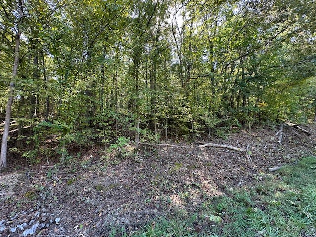 0 Chalk Hill Church Road Camden, TN 38320 - Photo 48 of 50 a view of a yard with a tree