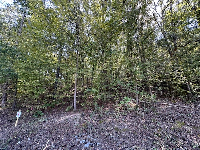 0 Chalk Hill Church Road Camden, TN 38320 - Photo 49 of 50 a view of a forest that has a tree