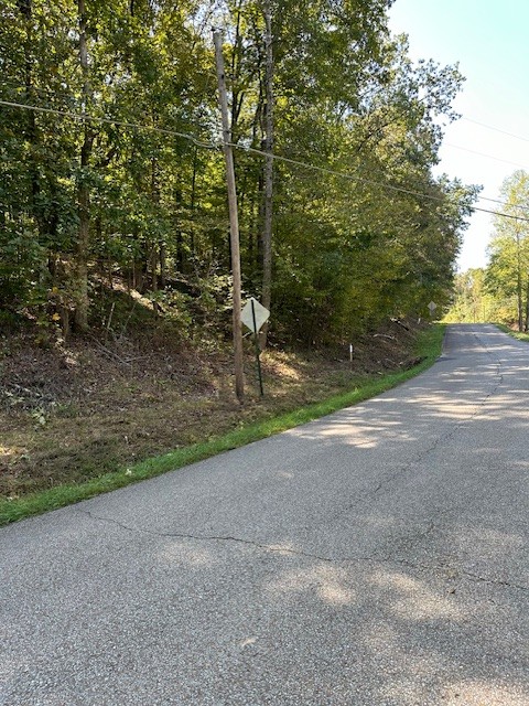0 Chalk Hill Church Road Camden, TN 38320 - Photo 50 of 50 a view of a yard with a tree