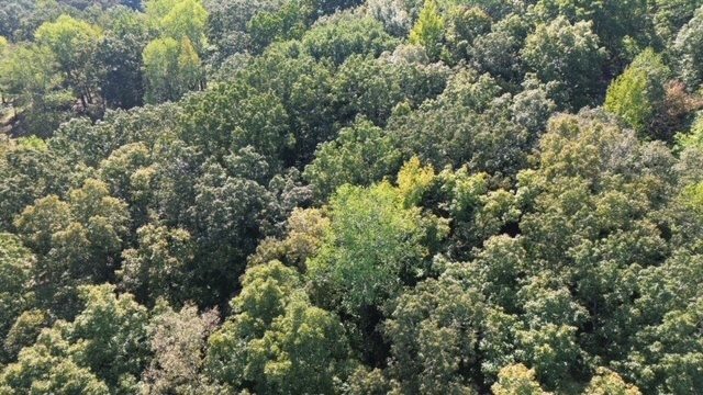 0 Chalk Hill Church Road Camden, TN 38320 - Photo 5 of 50 an aerial view of house with yard