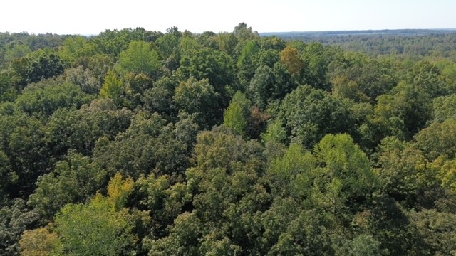 0 Chalk Hill Church Road Camden, TN 38320 - Photo 6 of 50 an aerial view of a house with a yard