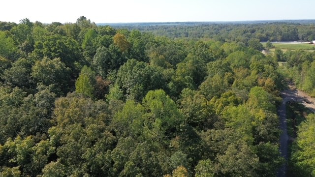 0 Chalk Hill Church Road Camden, TN 38320 - Photo 7 of 50 an aerial view of forest