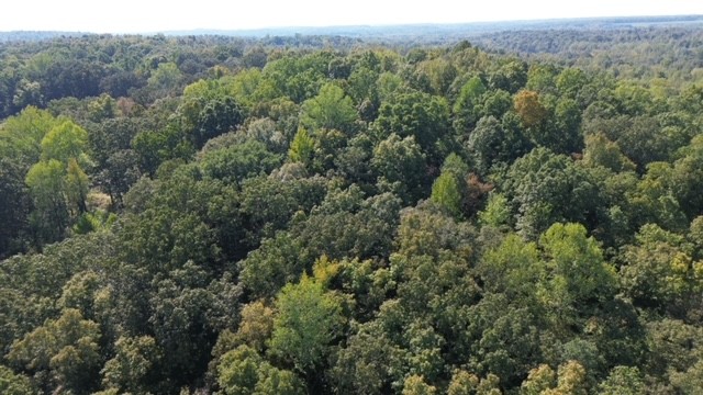 0 Chalk Hill Church Road Camden, TN 38320 - Photo 10 of 50