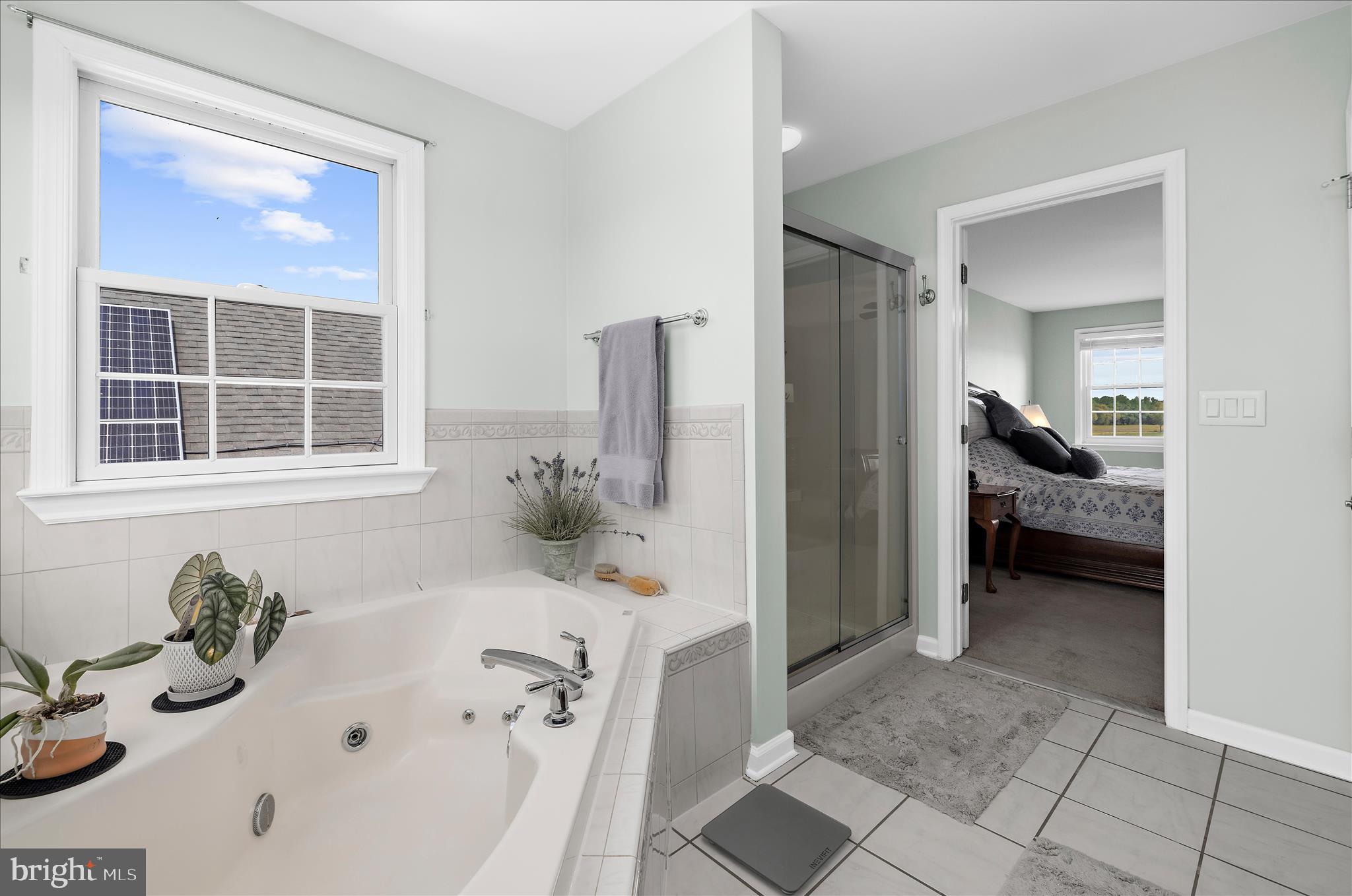 988 White Marsh Road Centreville, MD 21617 - Photo 41 of 96 Primary Bathroom