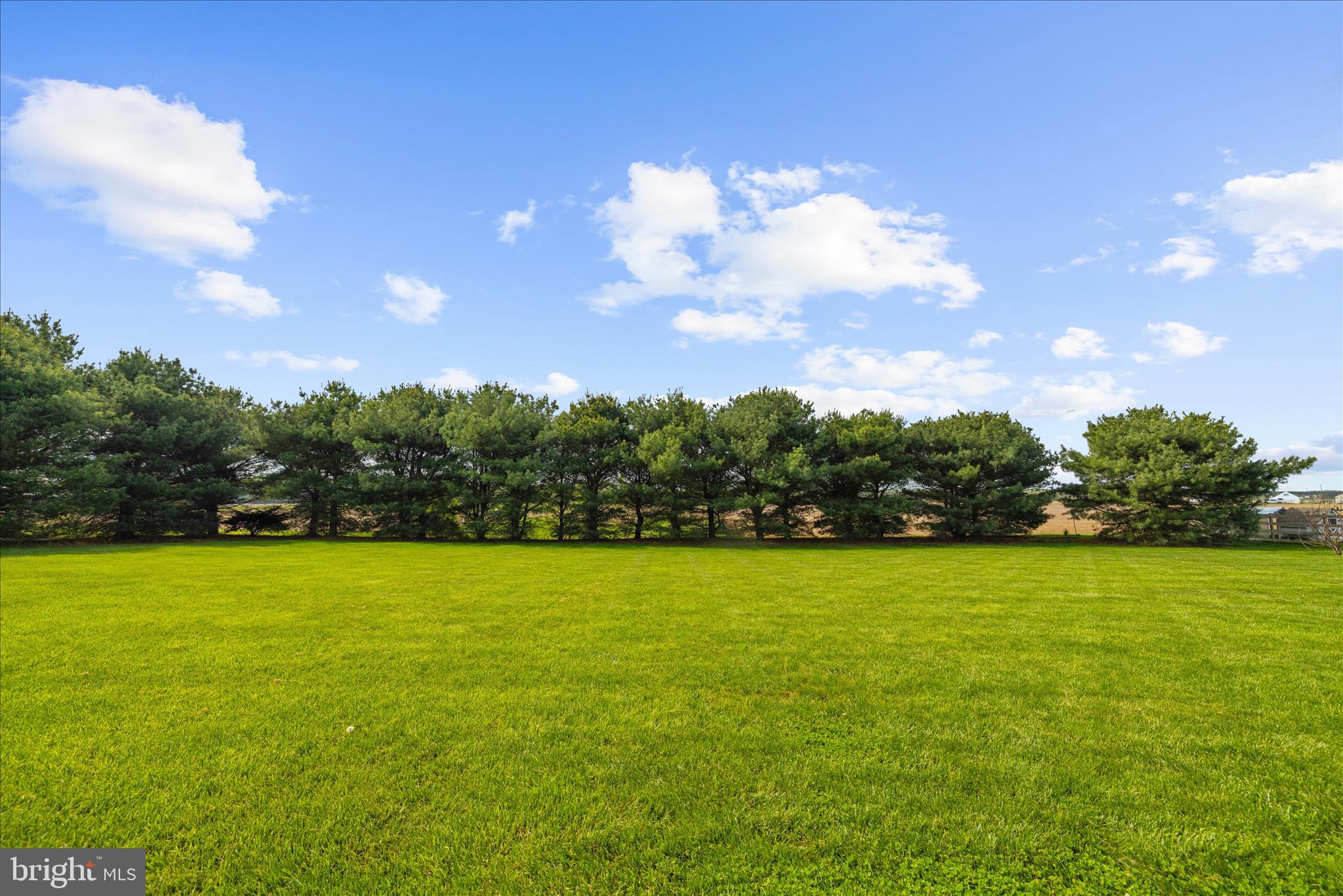 988 White Marsh Road Centreville, MD 21617 - Photo 59 of 96 View from Deck