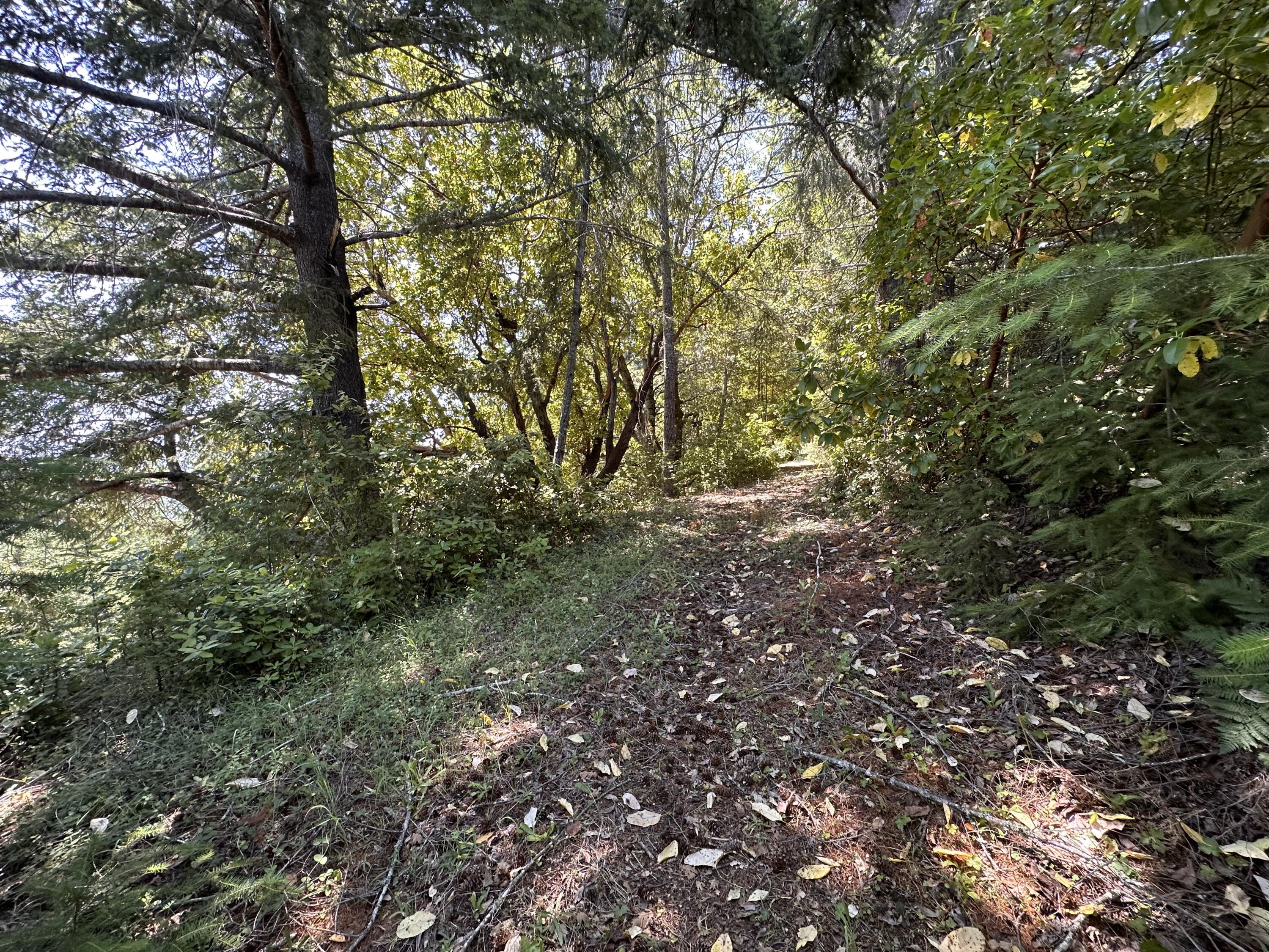 950 Powell Crk Road Garberville, CA 95542 - Photo 50 of 78