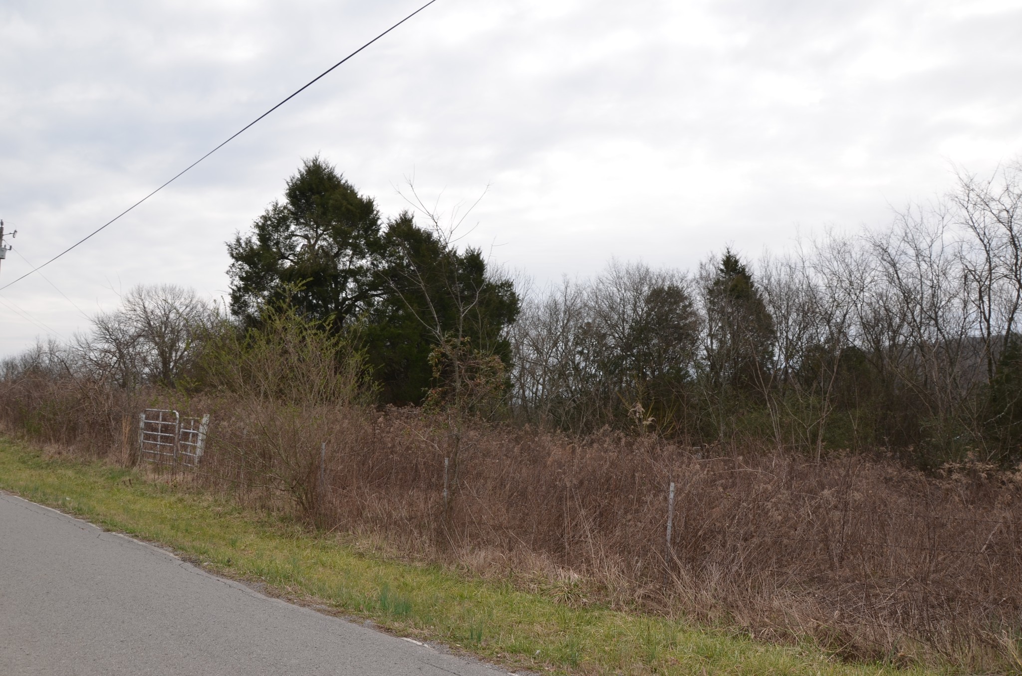 2006 West Saulsbury Road Lebanon, TN 37090 - Photo 7 of 8