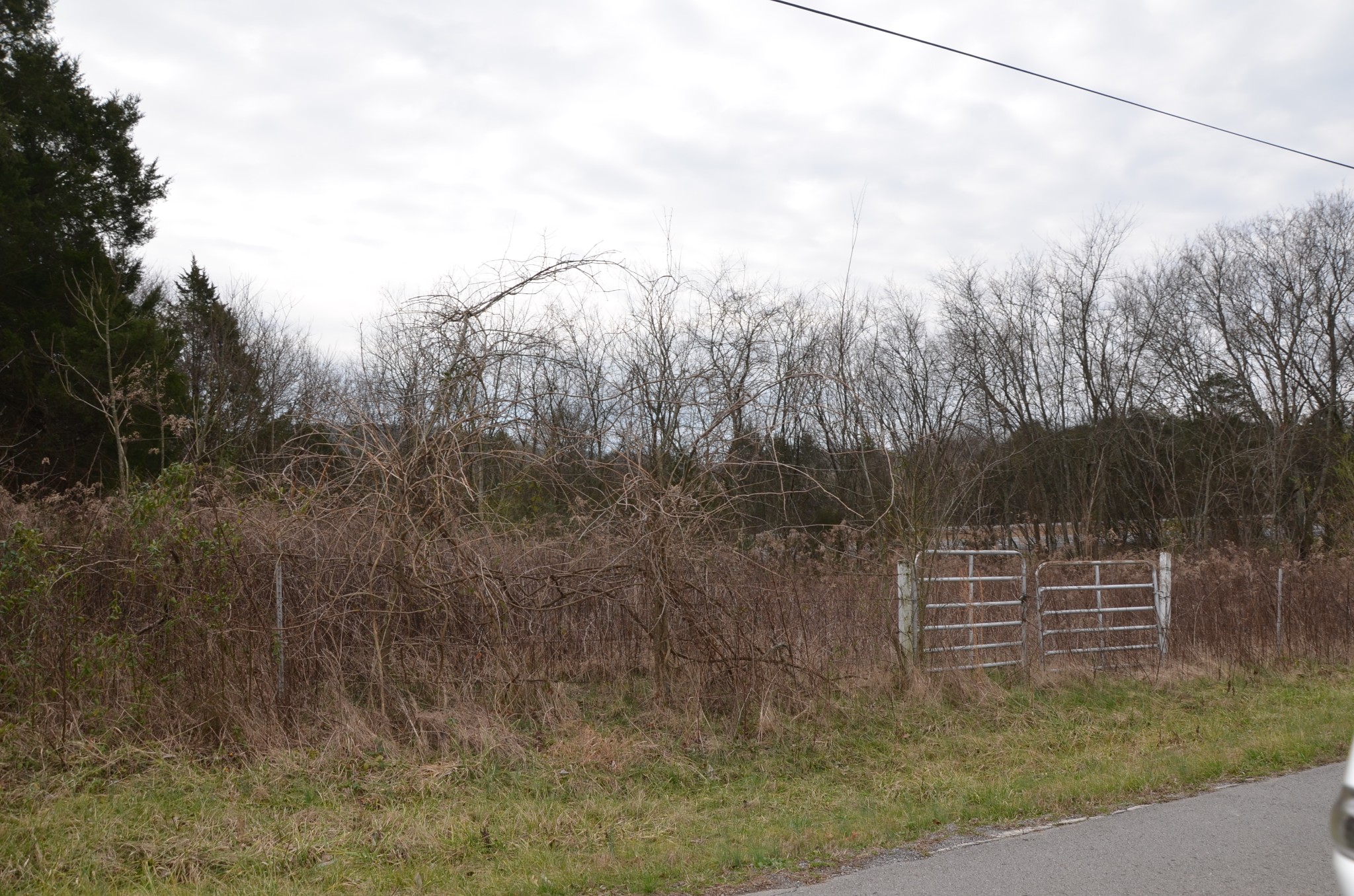 2006 West Saulsbury Road Lebanon, TN 37090 - Photo 8 of 8